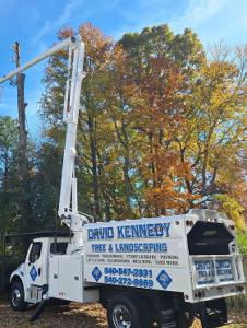 David Kennedy Tree & Landscaping