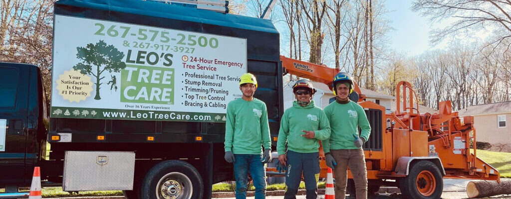 Leo’s Tree Care