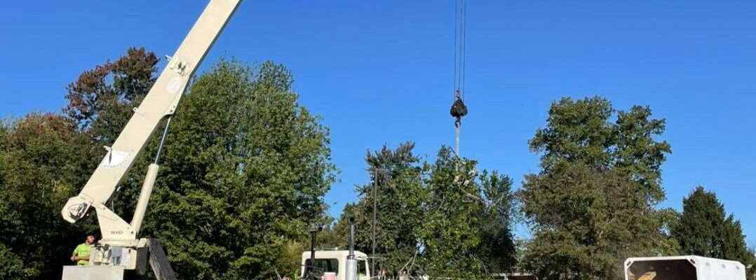 Tino’s Tree Service