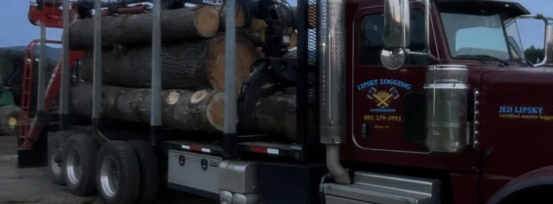 Iconic Tree Care