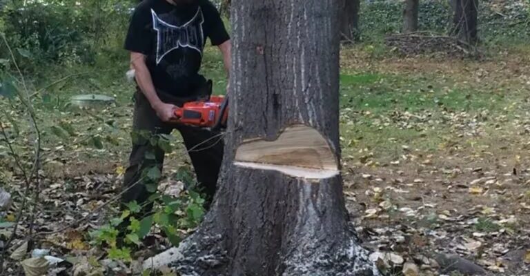 Harmony Tree Services